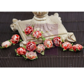 Набір троянд Cameo Roses Mandarin в рожевих тонах, 20 мм, 12 шт. від Prima