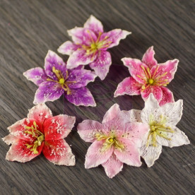 Набор декоративных цветов Corine Collection, 6 шт. от Prima