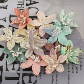 Набор цветов Lucerne - Fairy Belle 12 шт. от Prima