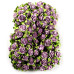 Букетик класичних троянд Roses Purple, 10 шт. від Prima