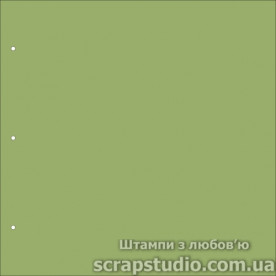 Заготовка для альбома БЕЛЫЙ 30*30 см , 5 шт от ScrapStudio
