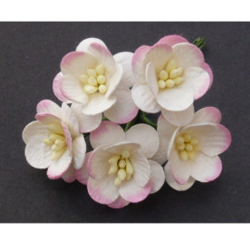 Набір 5 декоративних квіток вишні кремово-рожевого кольору
