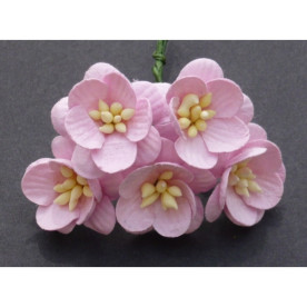 Цветы вишни, набор из 5 декоративных цветочков розового цвета