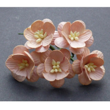 Набор 5 декоративных цветков вишни персикового цвета