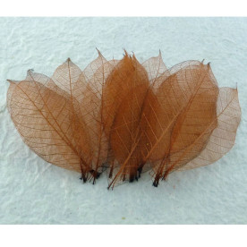 Набір 10 скелетовані декоративних листочків бронзового кольору, 8 см