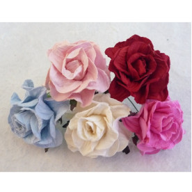 Набір 5 диких трояндочок різних кольорів, 45 мм