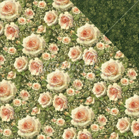 Двосторонній папір Victoria, 30 * 30 см від Graphic 45