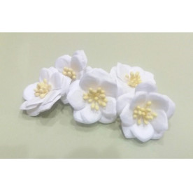 Набір Магнолій білих, 5 шт, 4 см від СкрапКлумба