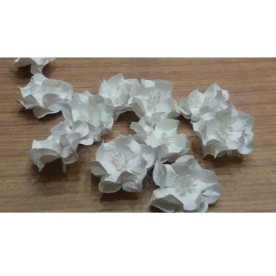 Набір Гардені, колір білий, 4 см, 5 шт від СкрапКлумби