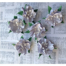 Набор цветов Wild flower белый, размер 3 см, 6 шт от СкрапКлумба