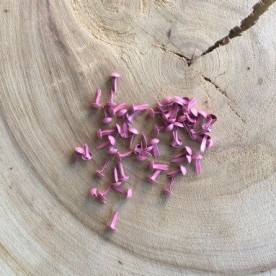 Набор металлических брадсов , цвет розовый, 20 шт, 5*9 мм