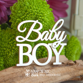 Чипборд надпись "Baby Boy", 45*38 мм от Scrapbox