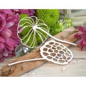 Чипборд сухой лотос, 46*90 мм от Scrapbox