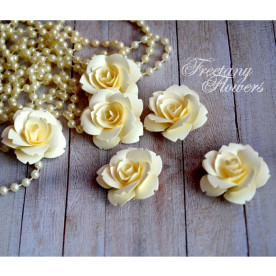 Набір кольорів Шампань від Freetany Flowers