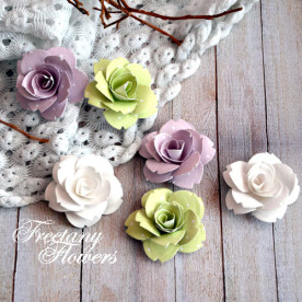 Набор цветов Весна, 6 шт от Freetany Flowers