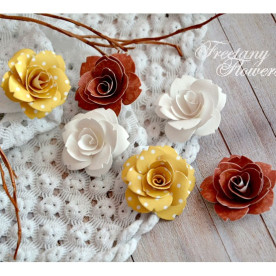 Набір кольорів маккиято, 6 шт від Freetany Flowers