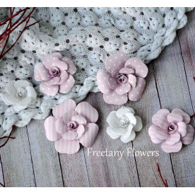 Набір кольорів Baby Girl, 6 шт від Freetany Flowers