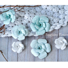 Набір кольорів Baby Boy, 6 шт від Freetany Flowers