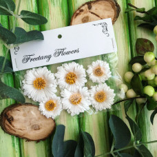 Набор цветов Ромашки, 6 шт от Freetany Flowers