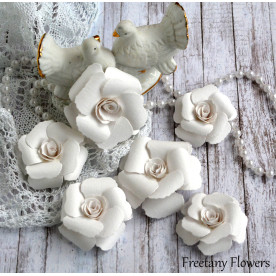 Набір кольорів Wedding, 6 шт від Freetany Flowers