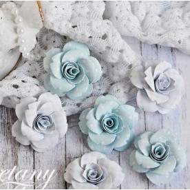 Набір кольорів Небесний, 6 шт від Freetany Flowers