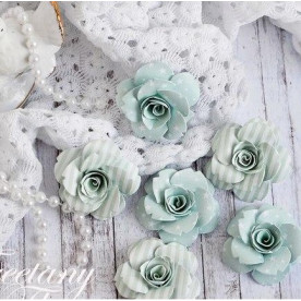 Набір кольорів «Baby Boy-2», 6 шт від Freetany Flowers