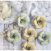 Набір кольорів хлопчачих, 6 шт від Freetany Flowers
