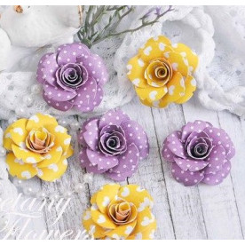 Набор цветов Крокусы, 6 шт от Freetany Flowers