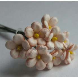 Набір кольорів Незабудки, колір карамель, 5 шт від Квіткова Фея