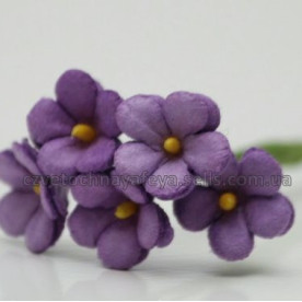 Набір кольорів Незабудки, колір яскраво-бузковий, 5 шт від Квіткова Фея