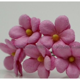 Набір кольорів Незабудки, колір рожевий, 5 шт від Квіткова Фея