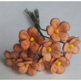 Набір кольорів Незабудки, колір коричневий, 5 шт від Квіткова Фея