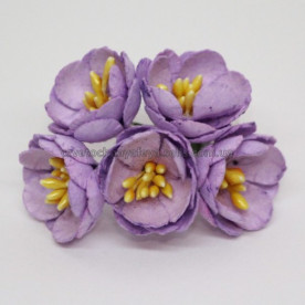 Набір кольорів яблуні, колір бузковий, 5 шт від ТМ Квітка Фея