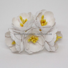 Набір кольорів яблуні, колір білий, 5 шт від ТМ Квітка Фея