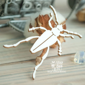 Чипборд Жук, 35,5*55 мм от Scrapbox