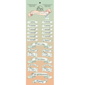 Наклейки Крихітка - синочок 10х30 см 24 наклейки русс. ScrapEgo