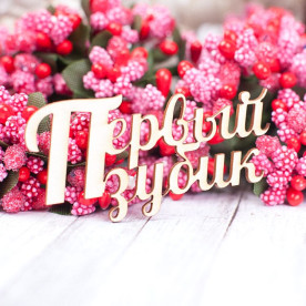 Чипборд Первый зубик 56*27мм vl1574  Valeo