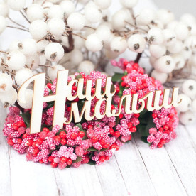 Чіпборд Наш малюк 111 * 39мм vl1588 Valeo