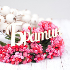 Чипборд Братик 76*30мм vl1589  Valeo