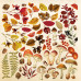 Лист с картинками для вырезания "Botany autumn", 30*30 см от Фабрика Декора