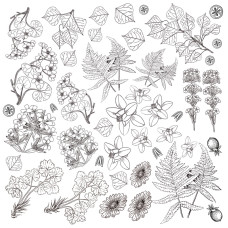 Лист для для раскрашивания маркерами Botany summer 30,5x30,5 Фабрика Декора