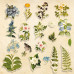 Набір вирубування, колекція Botany summer, 59 шт Фабрика Декору