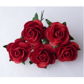 Набор 5 открытых роз 25 мм красного цвета