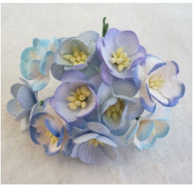 Набір кольорів вишні в блакитних тонах, 5 шт.