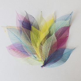 Набір різнокольорових скелетовані листочків, 10 шт., 7,5 см.