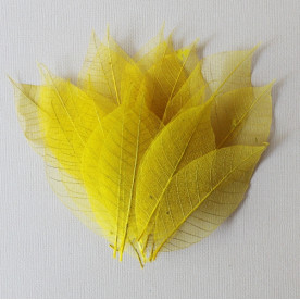Набор скелетированных листиков желтого цвета, 10 шт., 9-10 см.