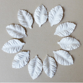 Набор листиков розы белого цвета, без стебля, 10 шт., 40 мм.