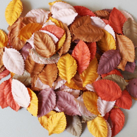 Набір листочків троянди в осінніх помаранчевих тонах, без стебла, 10 шт., 40 мм.