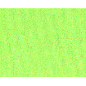 Папір для дизайну Elle Erre A4, 10 салатовий, 220 г/м2, Fabriano