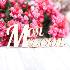 Чіпборд Моя соска 59 * 23мм vl1570